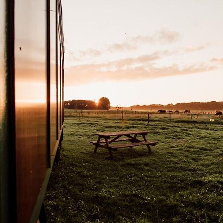 Slapen Tussen De Paarden Essen Exterior foto