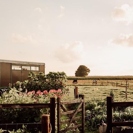 Slapen Tussen De Paarden Essen Exterior foto