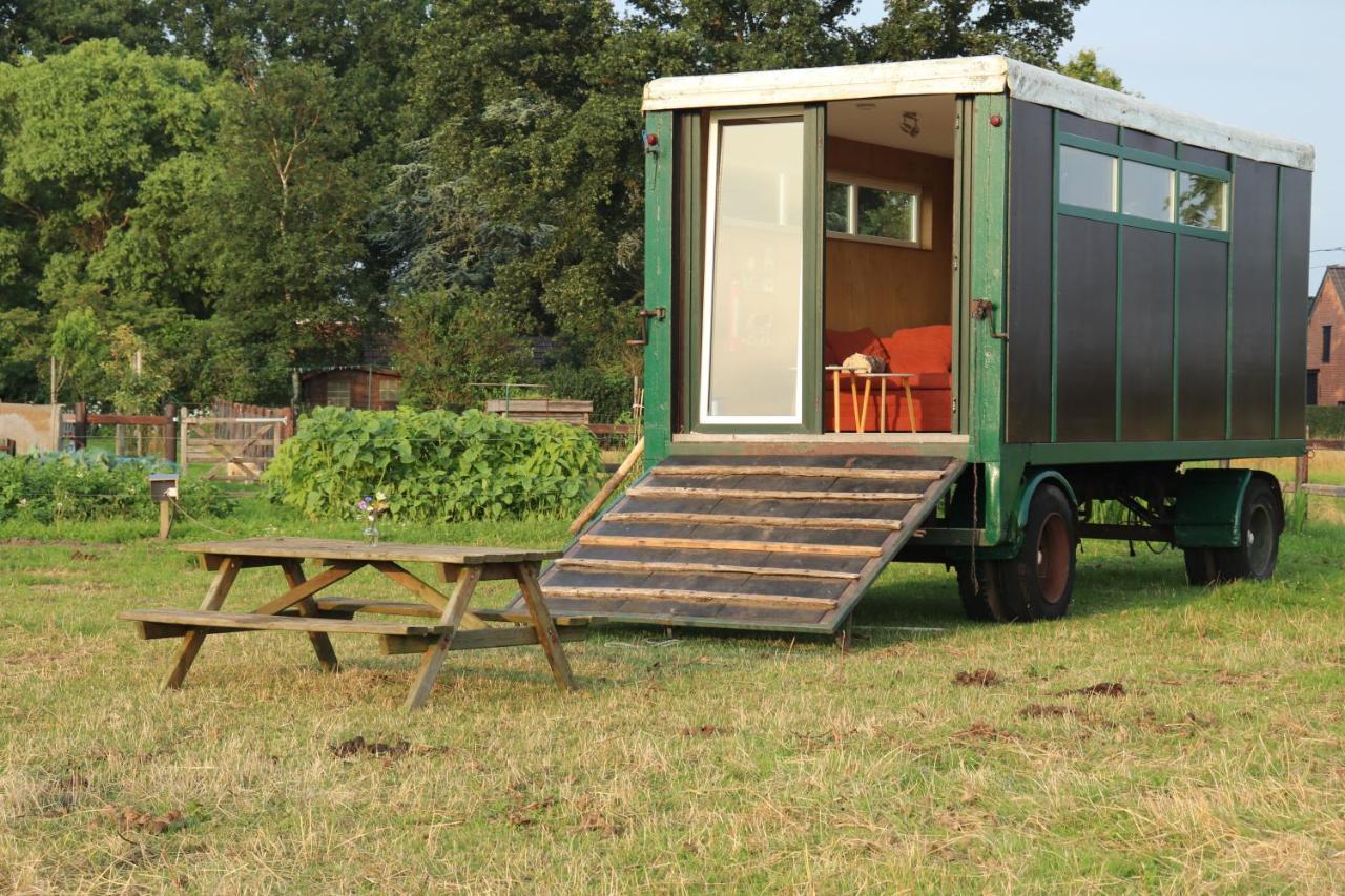 Slapen Tussen De Paarden Essen Exterior foto