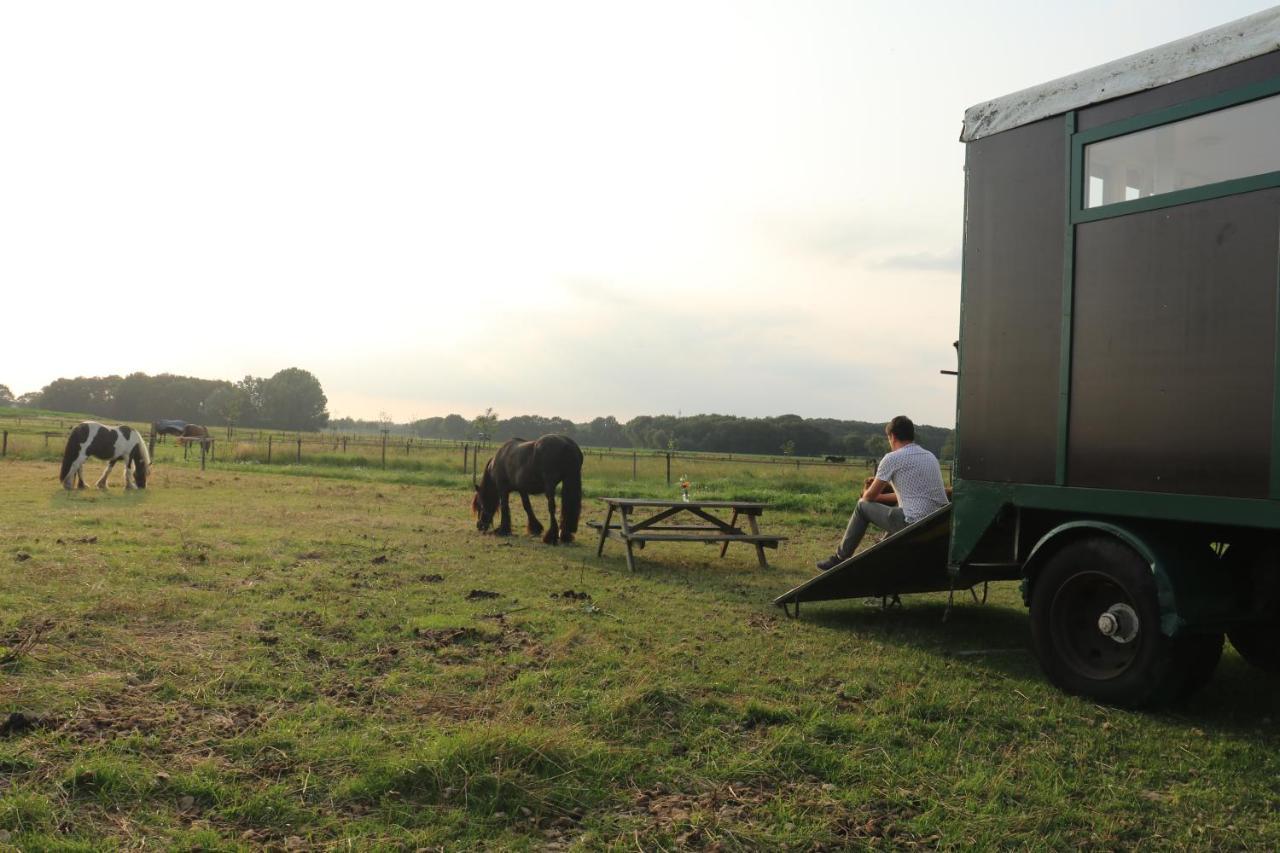 Slapen Tussen De Paarden Essen Exterior foto