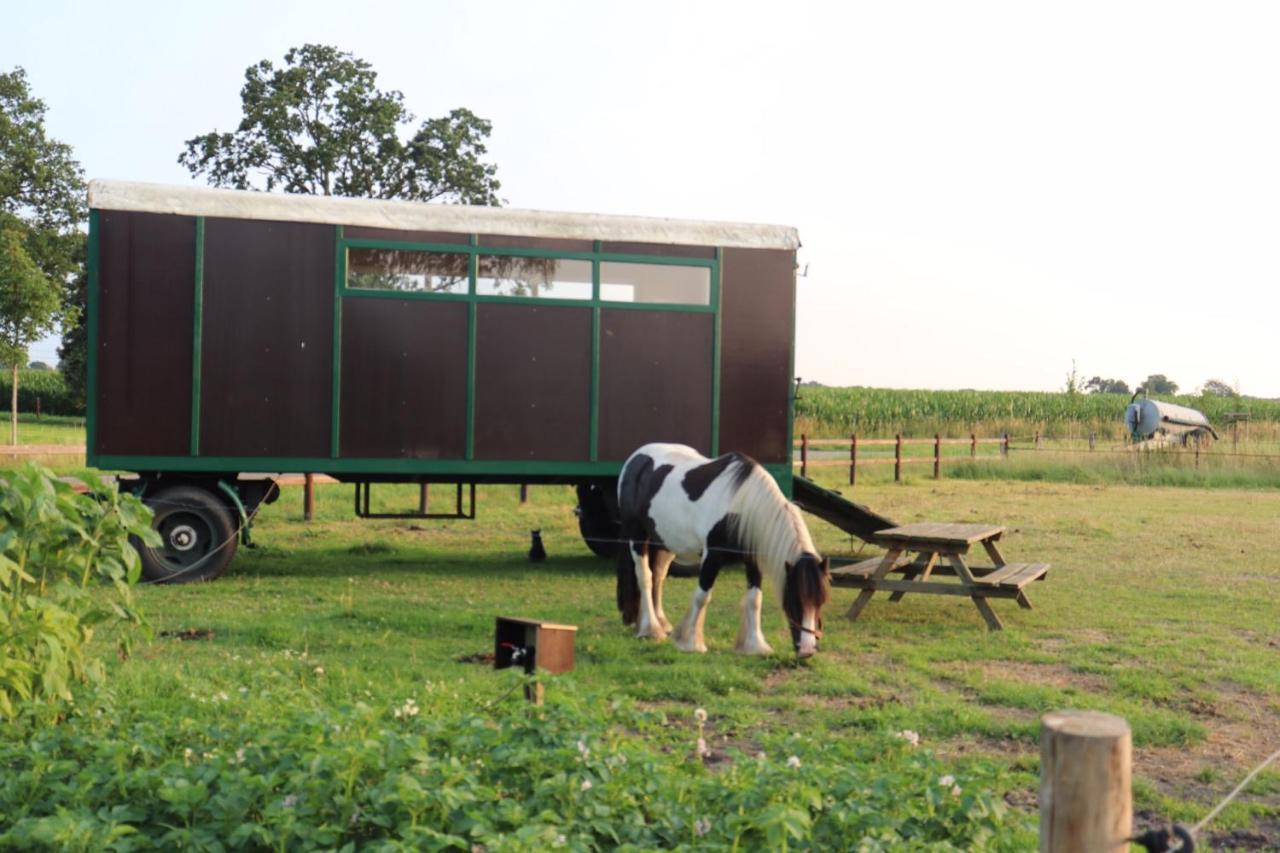 Slapen Tussen De Paarden Essen Exterior foto