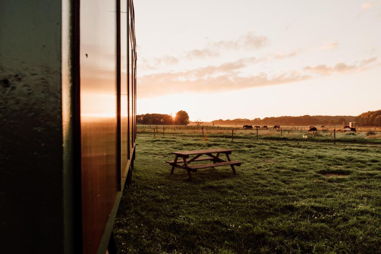 Slapen Tussen De Paarden Essen Exterior foto