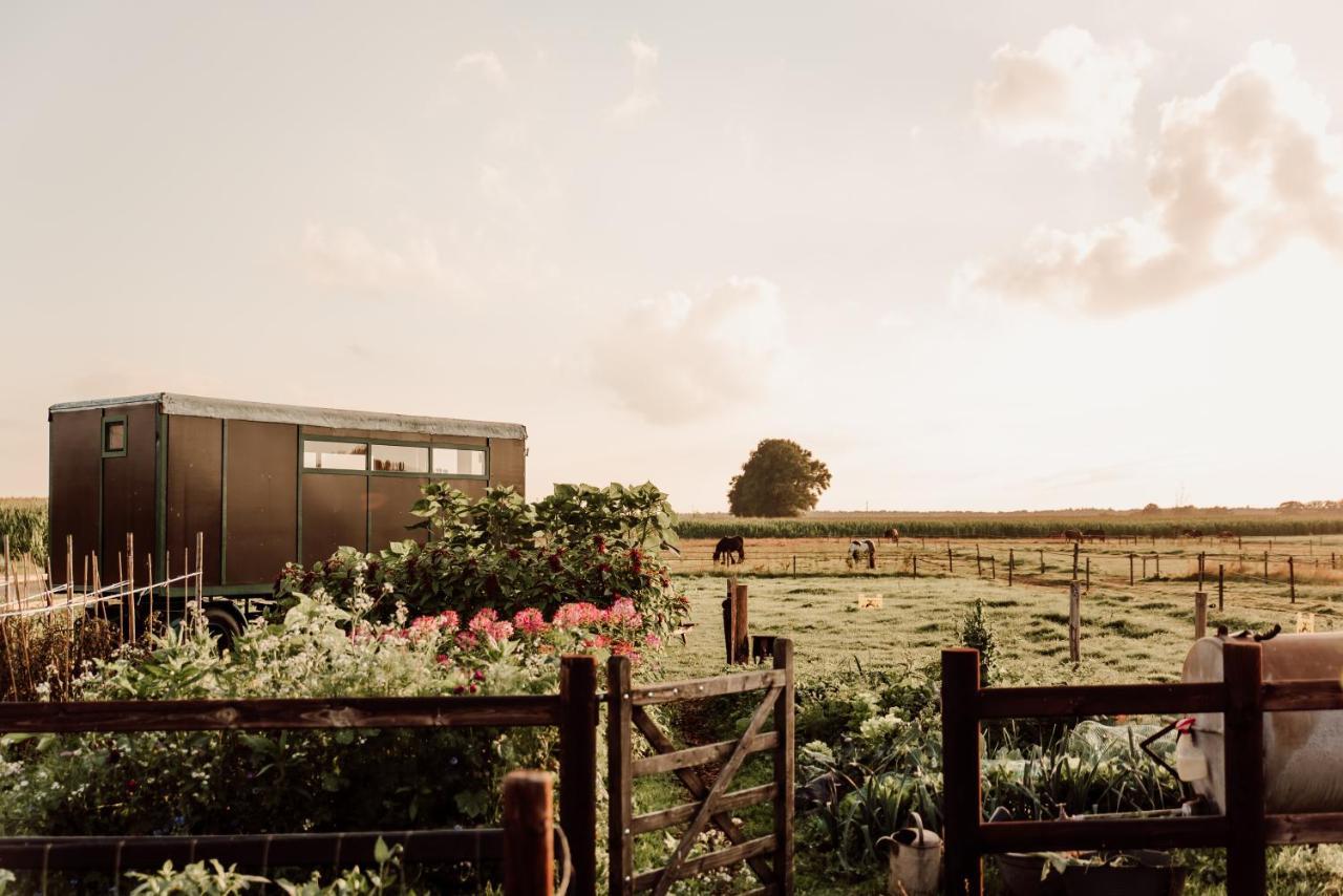 Slapen Tussen De Paarden Essen Exterior foto