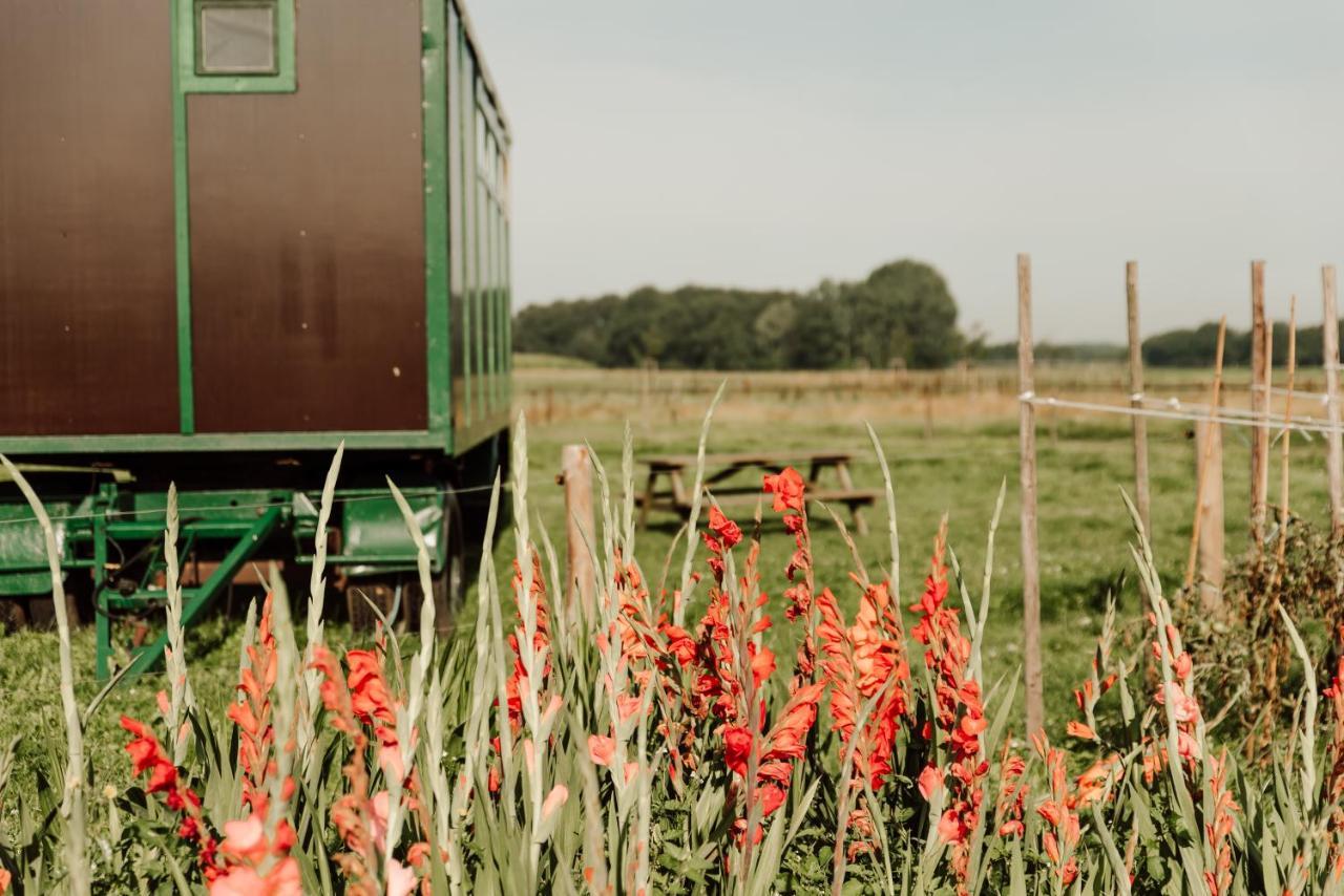 Slapen Tussen De Paarden Essen Exterior foto